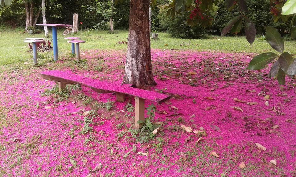 Pouso Jambo Rosa Hotel Valenca  Buitenkant foto